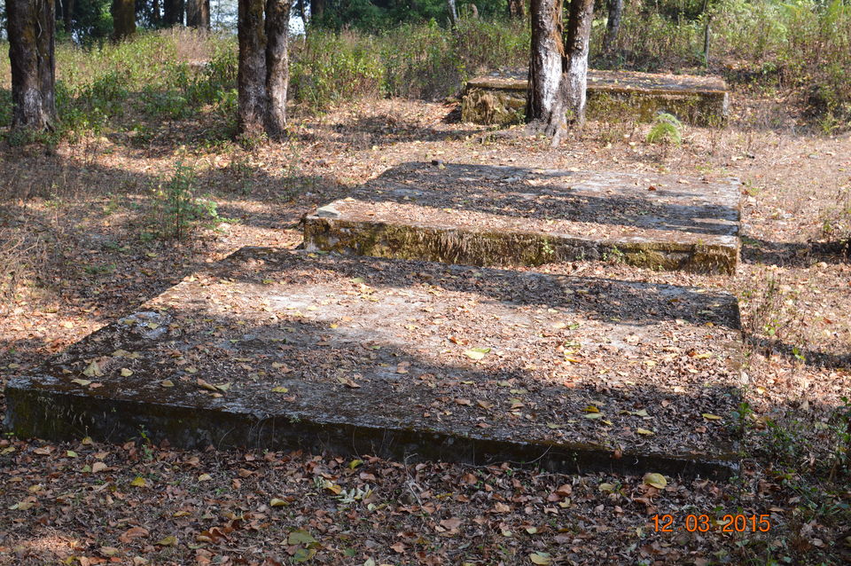 Photo of Siliguri & Sikkim Trekking (March-2015) by Bhargav Vyas