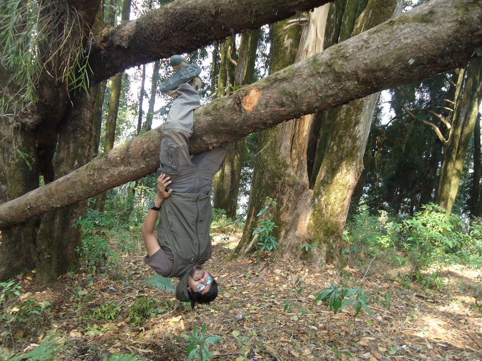 Photo of Siliguri & Sikkim Trekking (March-2015) by Bhargav Vyas