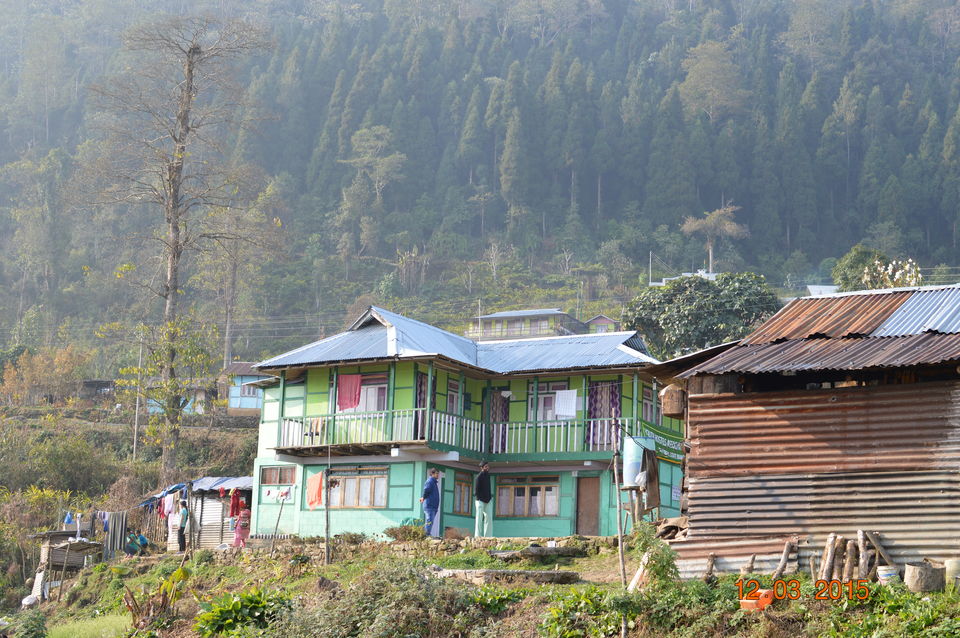 Photo of Siliguri & Sikkim Trekking (March-2015) by Bhargav Vyas
