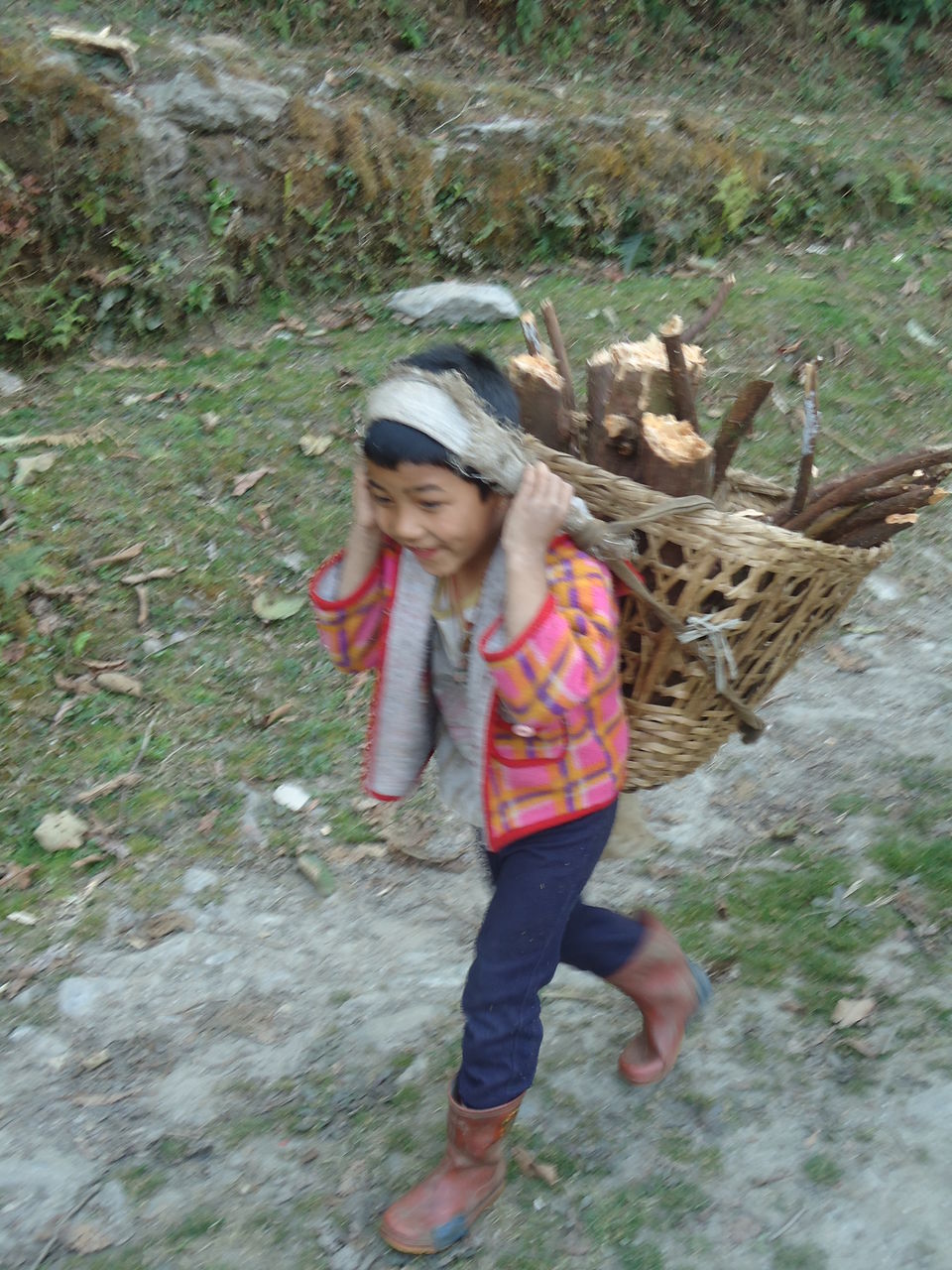 Photo of Siliguri & Sikkim Trekking (March-2015) by Bhargav Vyas