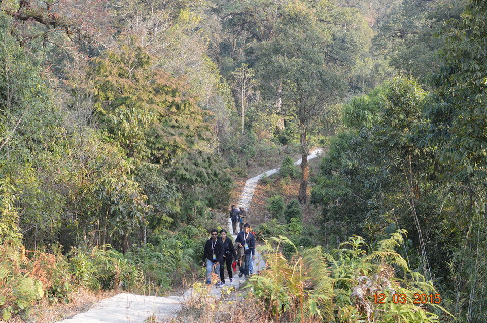 Photo of Siliguri & Sikkim Trekking (March-2015) by Bhargav Vyas