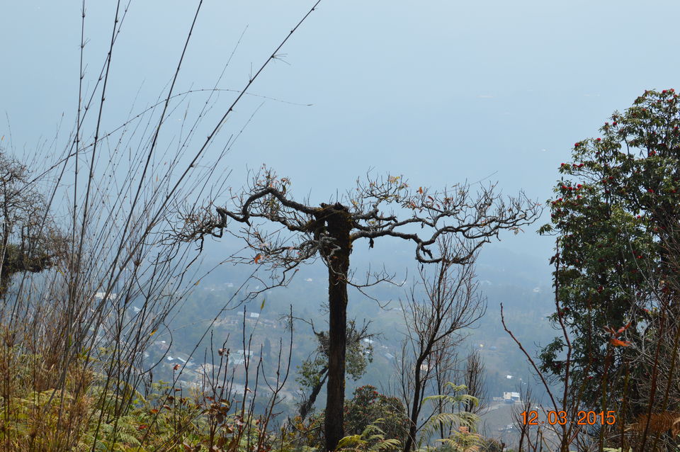 Photo of Siliguri & Sikkim Trekking (March-2015) by Bhargav Vyas