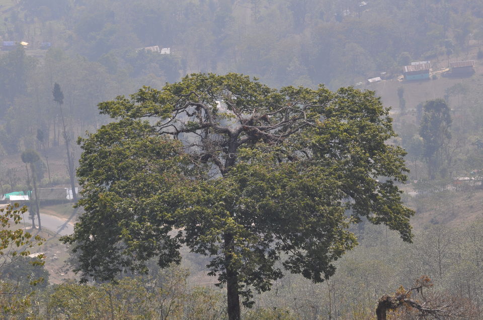 Photo of Siliguri & Sikkim Trekking (March-2015) by Bhargav Vyas