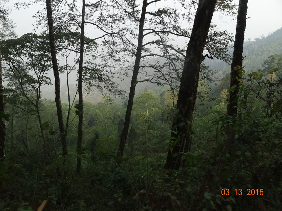 Photo of Siliguri & Sikkim Trekking (March-2015) by Bhargav Vyas