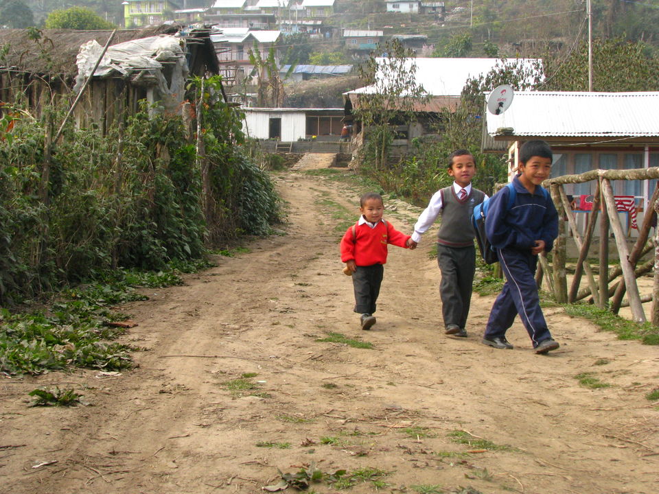 Photo of Siliguri & Sikkim Trekking (March-2015) by Bhargav Vyas