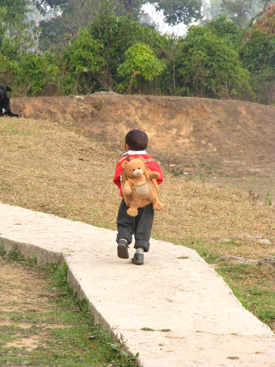 Photo of Siliguri & Sikkim Trekking (March-2015) by Bhargav Vyas
