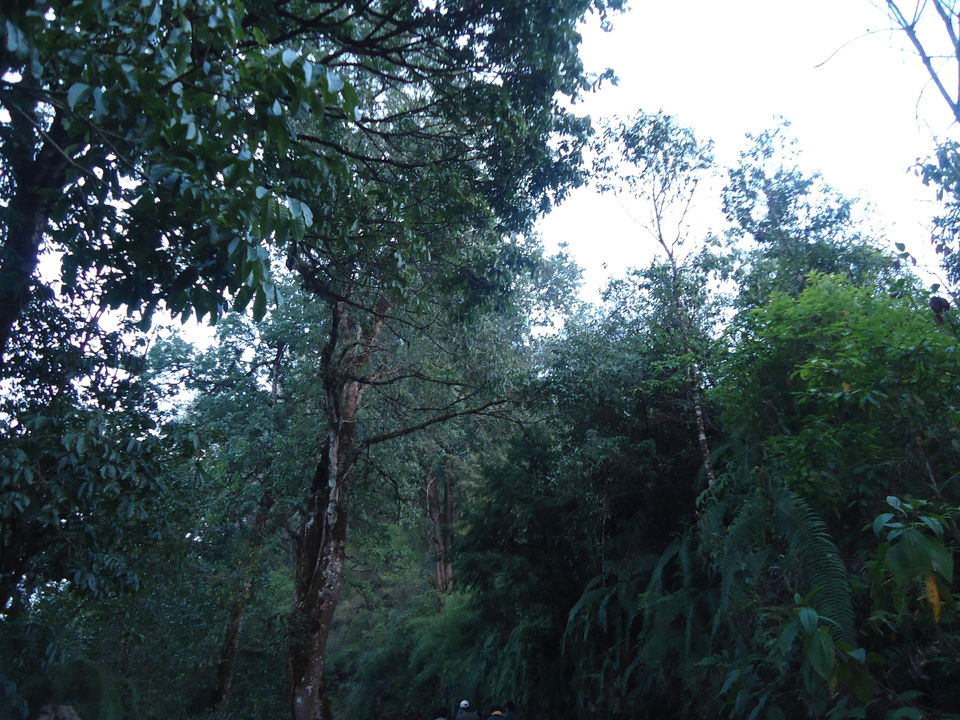 Photo of Siliguri & Sikkim Trekking (March-2015) by Bhargav Vyas