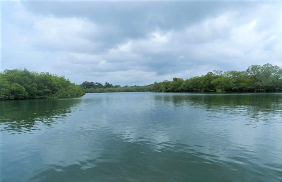 Photo of ross island, port blair, Ross Island Road, India by Sneha Surana