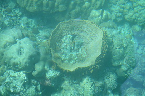 Photo of Wandoor, Andaman and Nicobar Islands, India by Sneha Surana