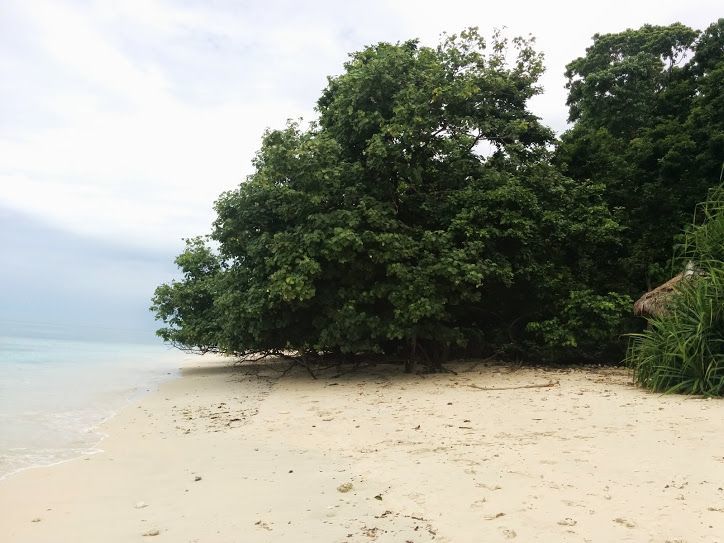 Photo of Best places to visit in Andaman|Havelock|Port Blair|Baratang|Scuba Diving| by Sneha Surana
