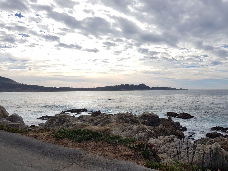Photo of Carmel-by-the-Sea, CA, USA by Sneha Surana