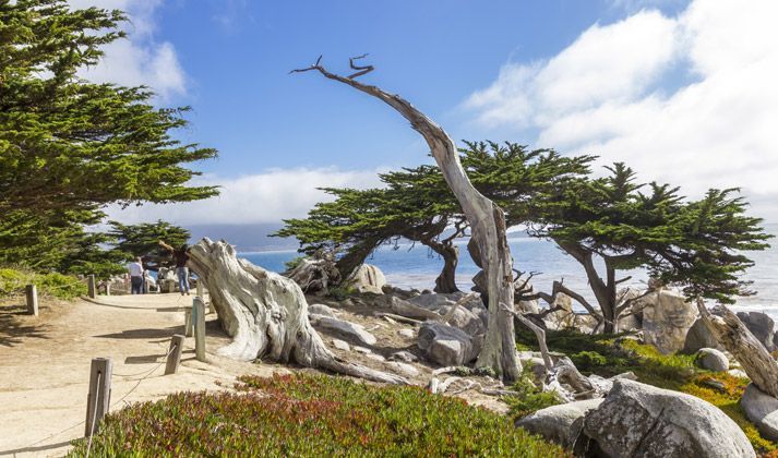 Photo of A day in Carmel by the Sea | 17 Mile Drive | California | SFO | USA | by Sneha Surana