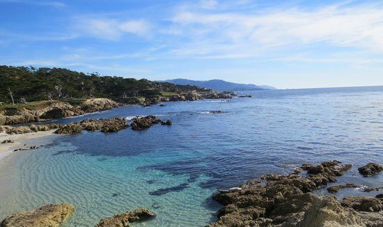 Photo of A day in Carmel by the Sea | 17 Mile Drive | California | SFO | USA | by Sneha Surana