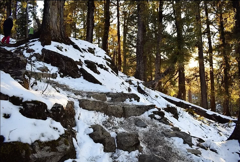 Photo of 18 year old, solo trekker - Snowtrek experience #nighttrek #photoblog by Mayank Madaan