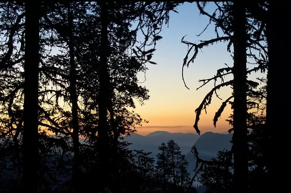 Photo of 18 year old, solo trekker - Snowtrek experience #nighttrek #photoblog by Mayank Madaan