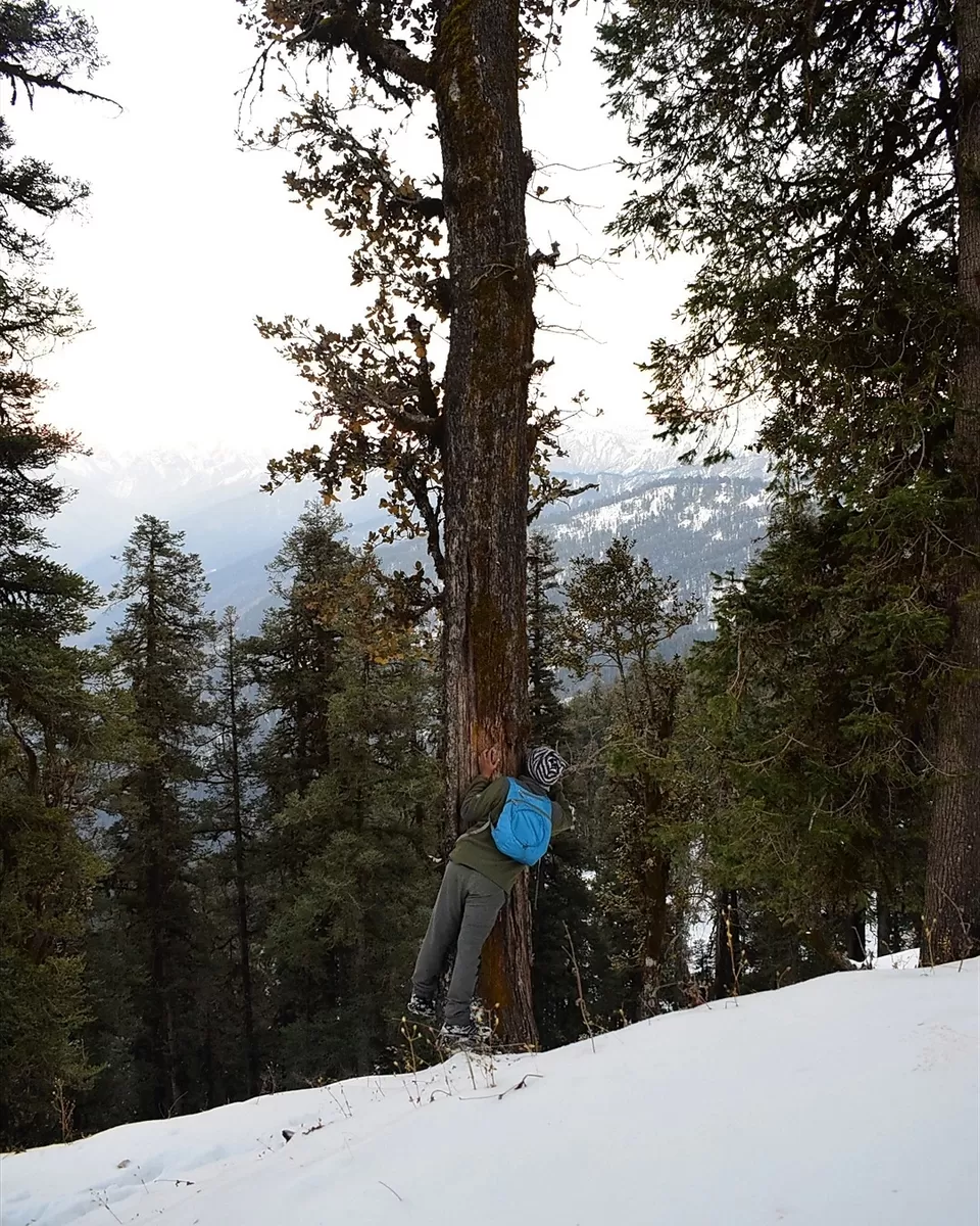 Photo of 18 year old, solo trekker - Snowtrek experience #nighttrek #photoblog by Mayank Madaan