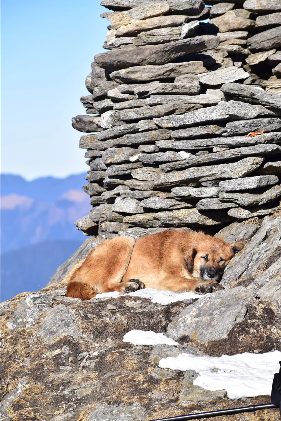 Photo of 18 year old, solo trekker - Snowtrek experience #nighttrek #photoblog by Mayank Madaan