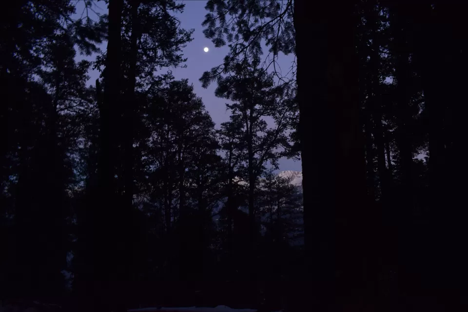 Photo of 18 year old, solo trekker - Snowtrek experience #nighttrek #photoblog by Mayank Madaan