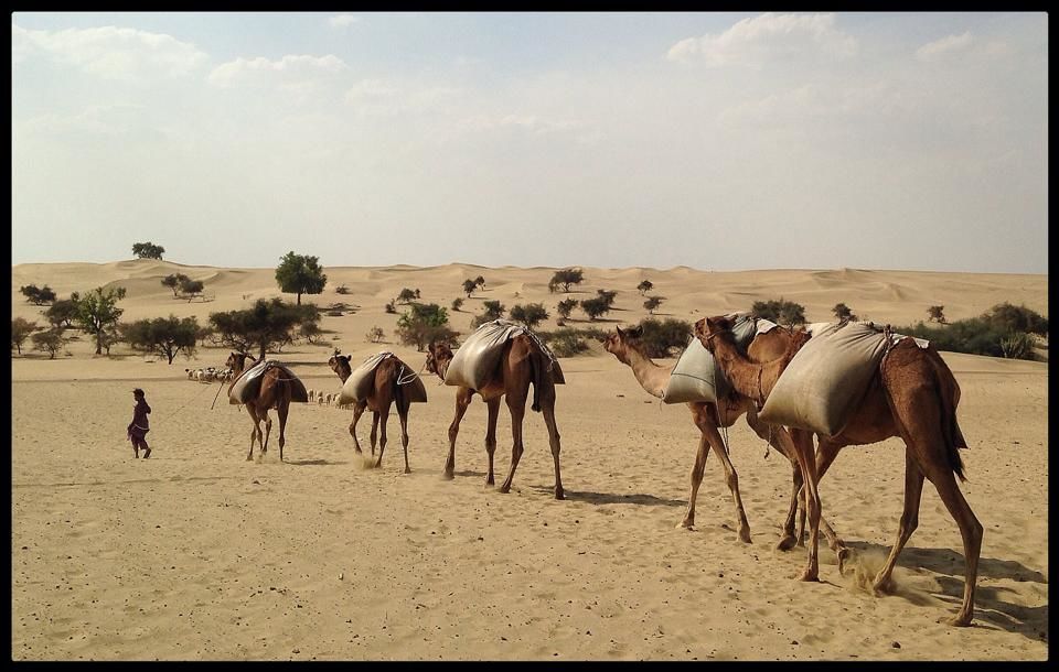 Photo of A folk song from Jaisalmer 12/26 by Vivek Soni