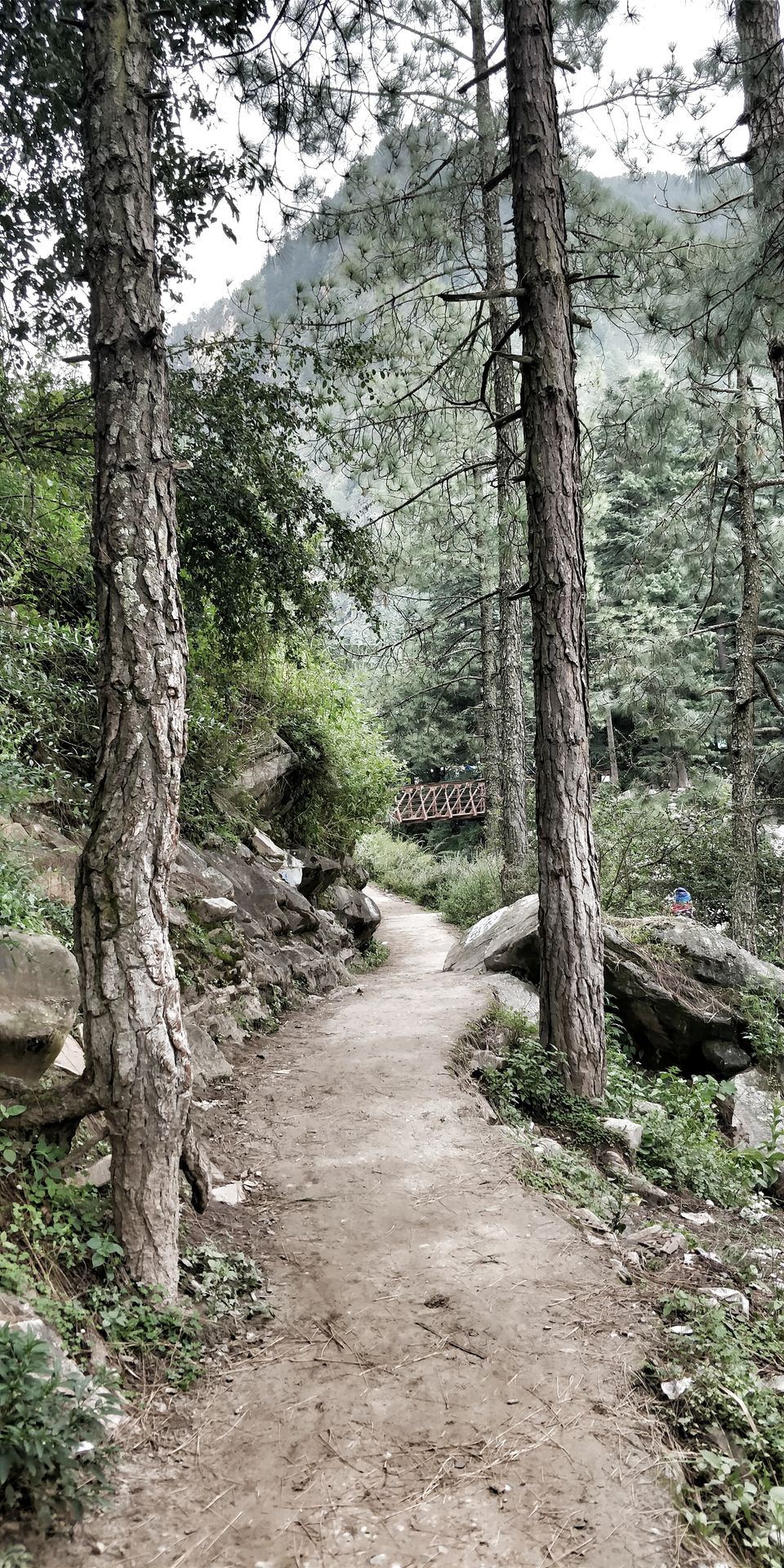Photo of An unforgettable escape to hippies land by sapna tiwari
