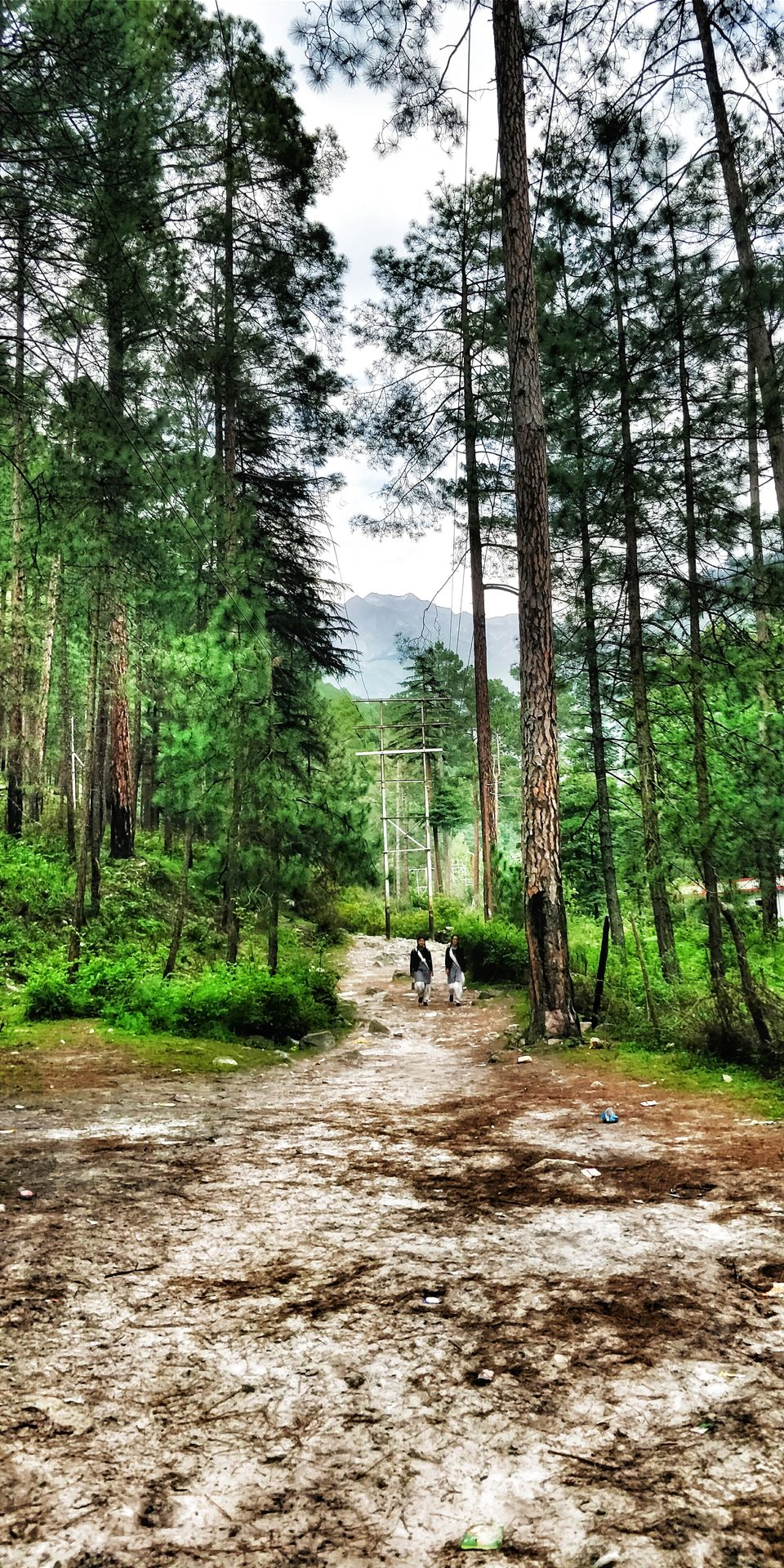 Photo of An unforgettable escape to hippies land by sapna tiwari