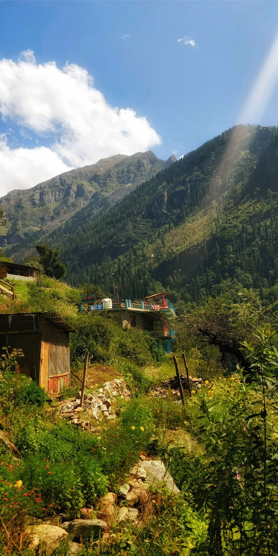 Photo of Hotel Blue Diamond Tosh, Tosh, Himachal Pradesh, India by sapna tiwari
