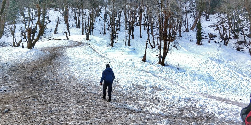 Photo of A winter trek to Kedarkantha 7/17 by sapna tiwari
