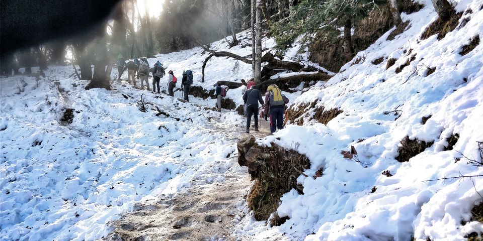 Photo of A winter trek to Kedarkantha 6/17 by sapna tiwari