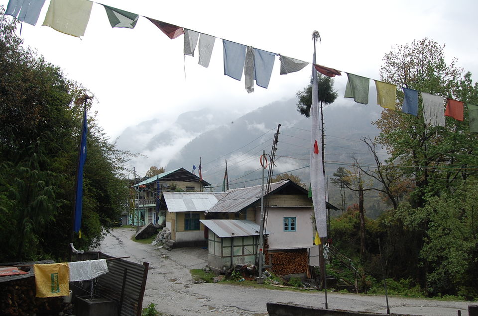 Photo of Yumthang, Sikkim, India by Mojin Abdul Kabeer