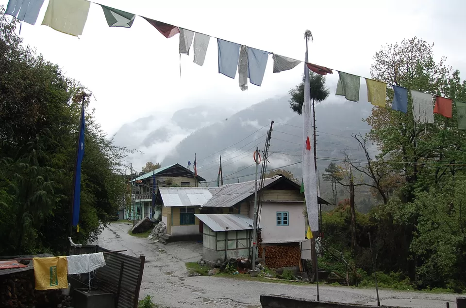 Photo of Yumthang, Sikkim, India by Mojin Abdul Kabeer