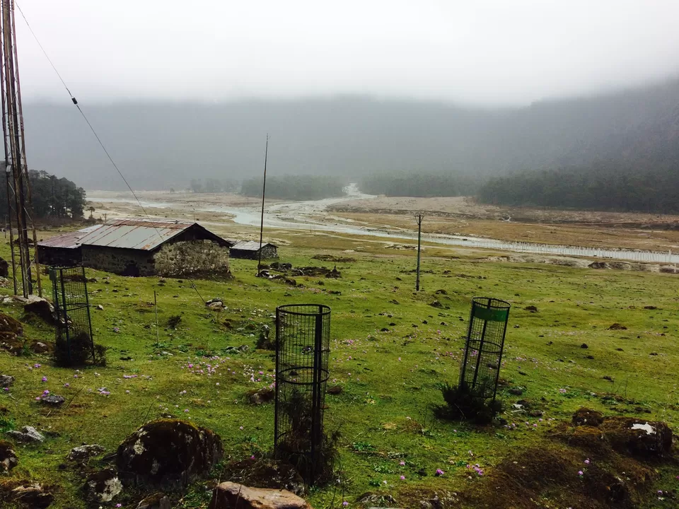 Photo of Yumthang, Sikkim, India by Mojin Abdul Kabeer
