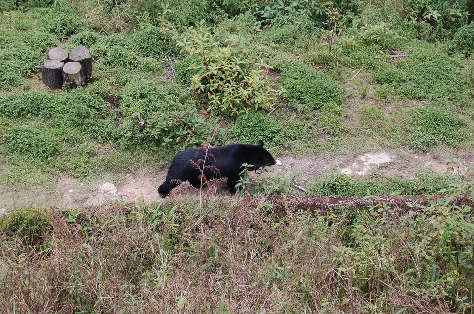 Photo of Gangtok, Sikkim, India by Mojin Abdul Kabeer