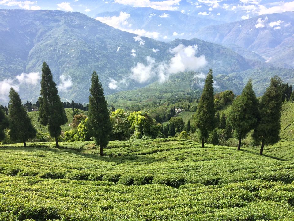 Photo of Darjeeling, West Bengal, India by Mojin Abdul Kabeer