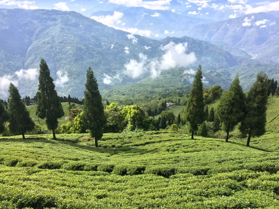 Photo of Darjeeling, West Bengal, India by Mojin Abdul Kabeer