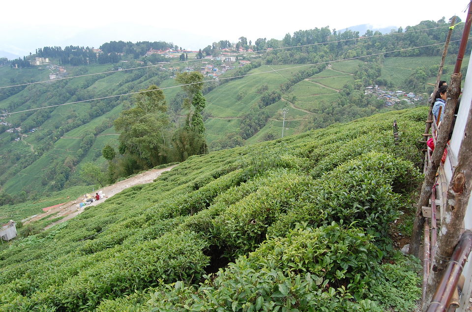Photo of Darjeeling, West Bengal, India by Mojin Abdul Kabeer