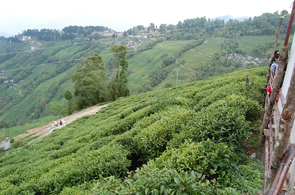 Photo of Darjeeling, West Bengal, India by Mojin Abdul Kabeer