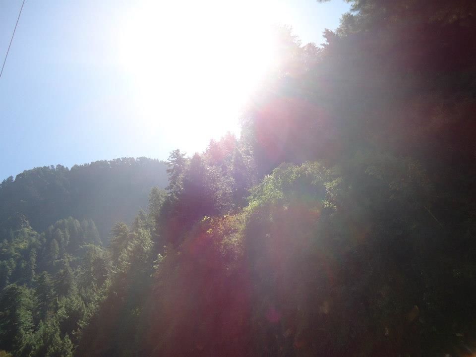 Photo of Bits of Enlightenment - Hiking to Kheer Ganga by Nisha Bora