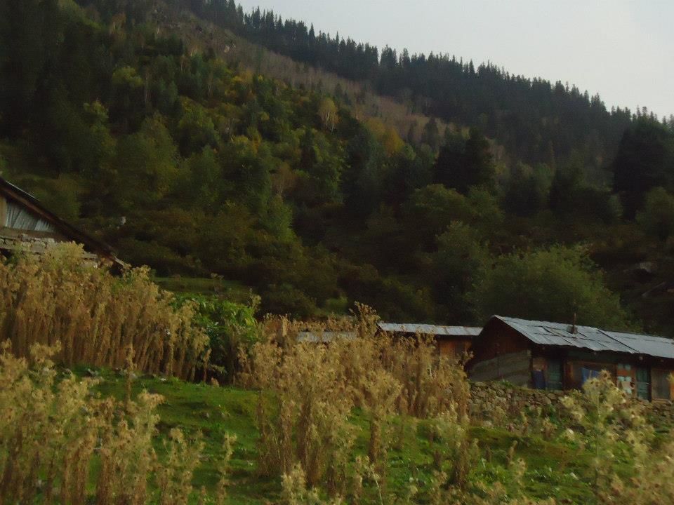 Photo of Bits of Enlightenment - Hiking to Kheer Ganga by Nisha Bora
