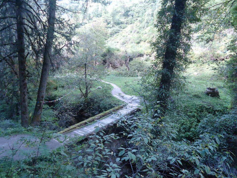 Photo of Bits of Enlightenment - Hiking to Kheer Ganga by Nisha Bora