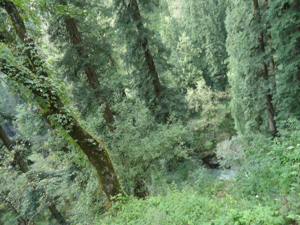 Photo of Bits of Enlightenment - Hiking to Kheer Ganga by Nisha Bora