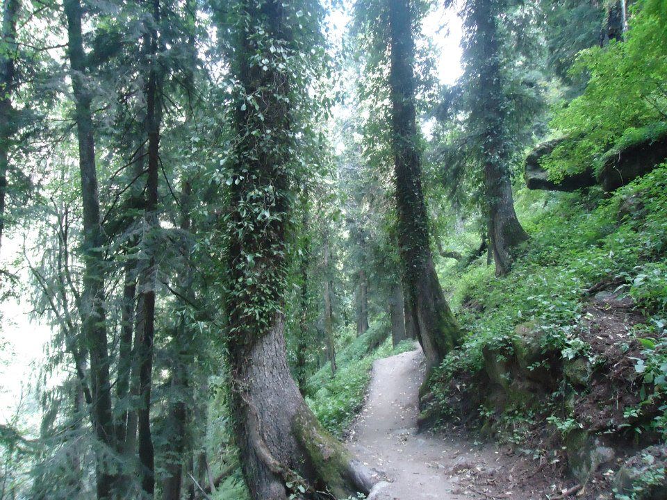Photo of Bits of Enlightenment - Hiking to Kheer Ganga by Nisha Bora