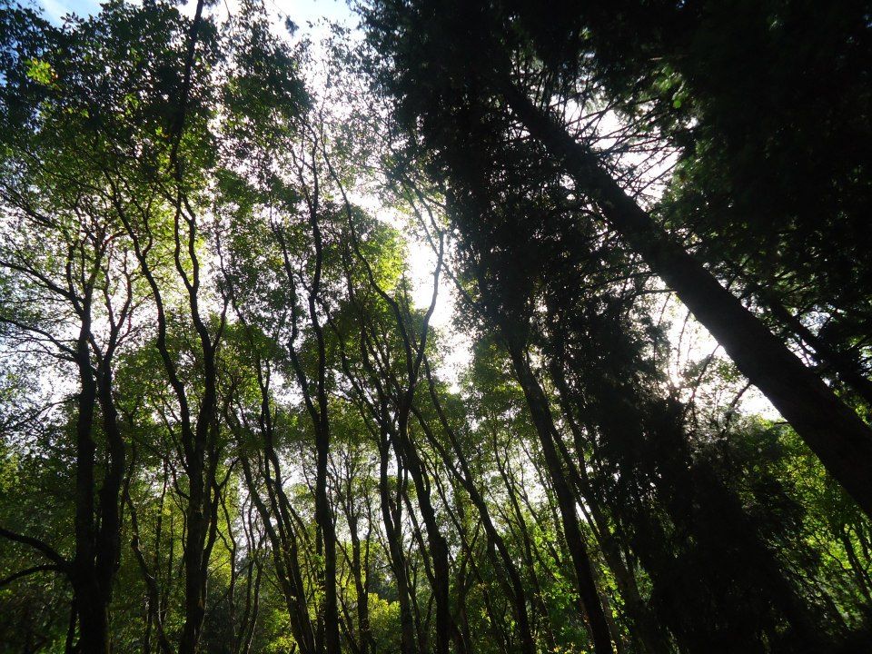 Photo of Bits of Enlightenment - Hiking to Kheer Ganga by Nisha Bora