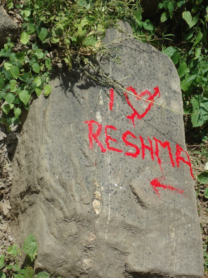 Photo of Bits of Enlightenment - Hiking to Kheer Ganga by Nisha Bora