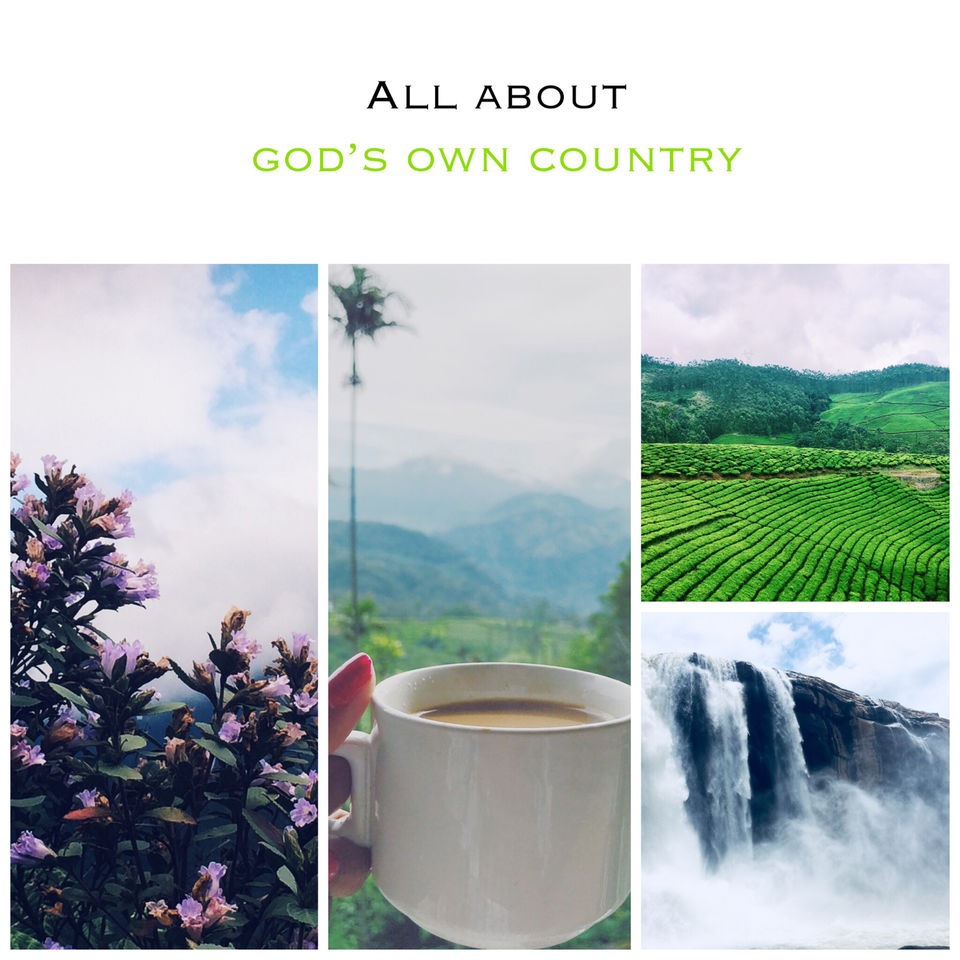 Photo of The 4 day trip to Kerala was one such perfectly timed thing in my life #southindiaitinerary by Bhargavi Sri