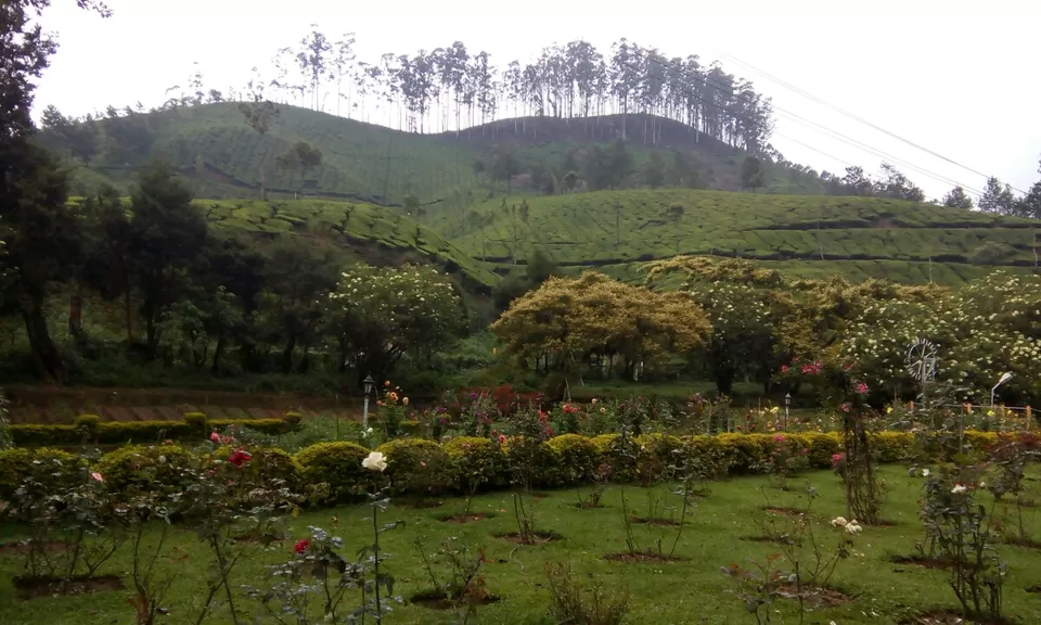 Photo of Munnar, Kerala, India by Souvik Bhattacharjee