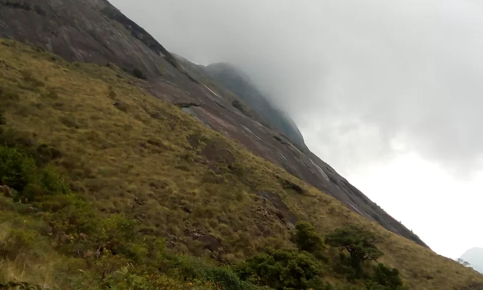 Photo of Munnar, Kerala, India by Souvik Bhattacharjee