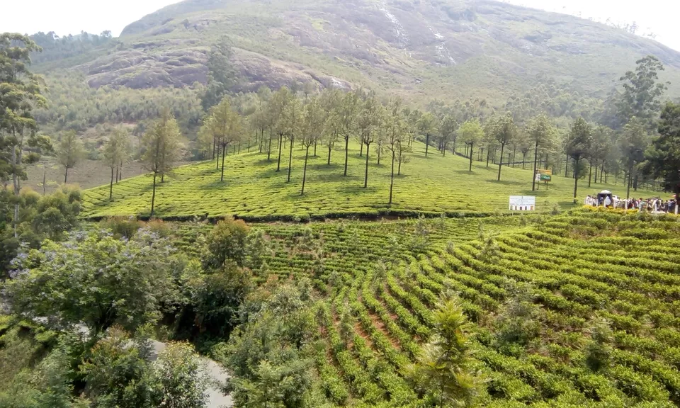 Photo of Munnar, Kerala, India by Souvik Bhattacharjee