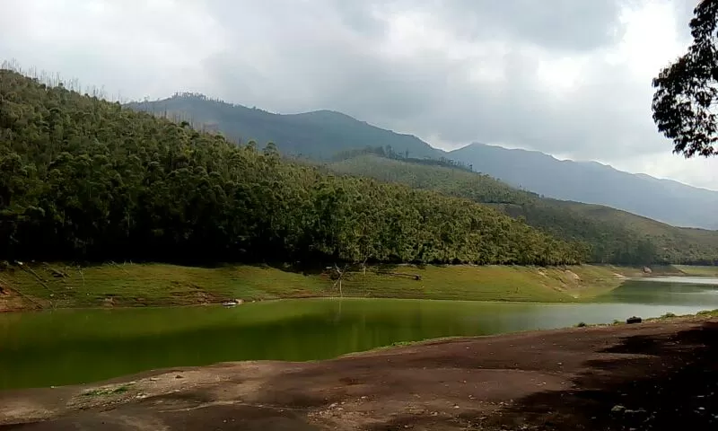 Photo of Munnar, Kerala, India by Souvik Bhattacharjee