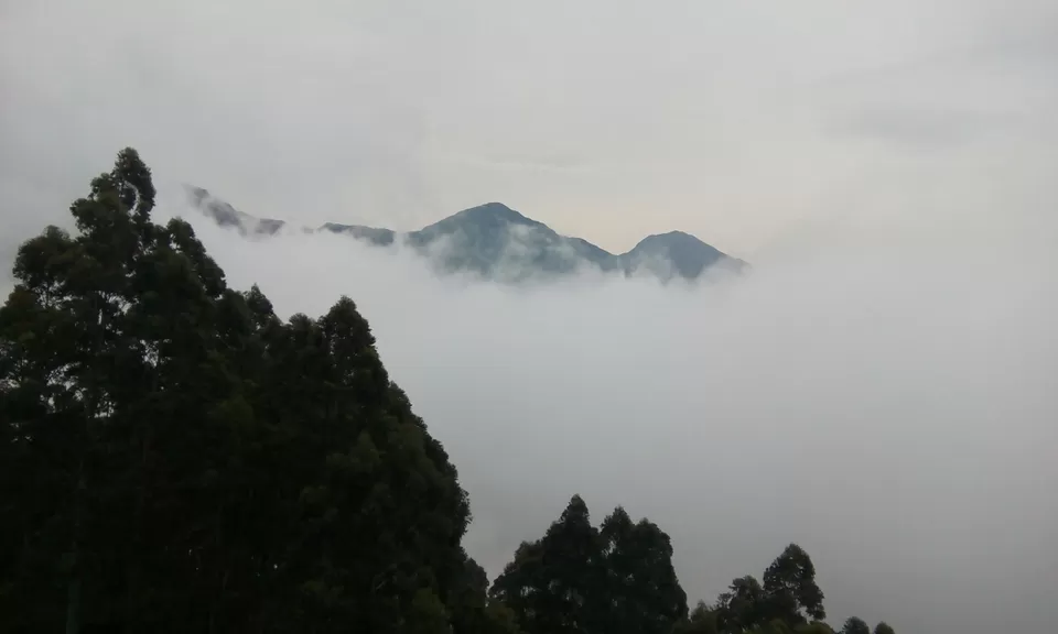 Photo of Munnar, Kerala, India by Souvik Bhattacharjee