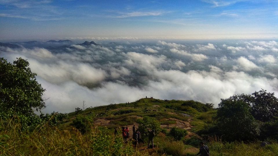 Photo of Everything You Need to Know Before Planning a Trip From Bangalore to Skandagiri 8/8 by Prashanna Vasan
